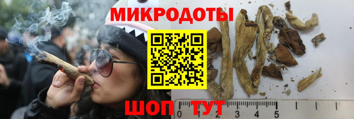 Галлюциногенные грибы мицелий Белогорск